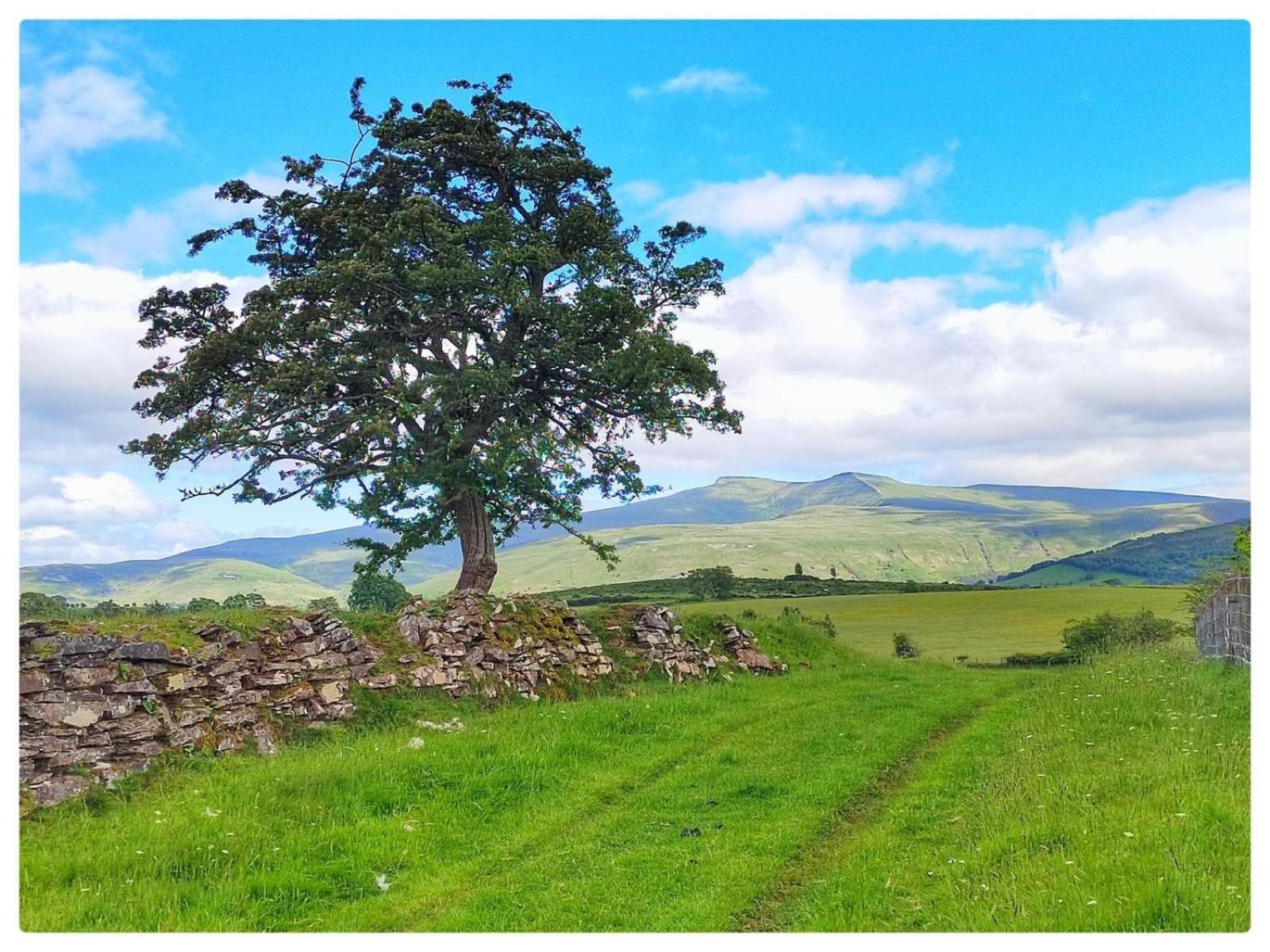 Little Cottage Of The Beacons Brecon Exterior photo
